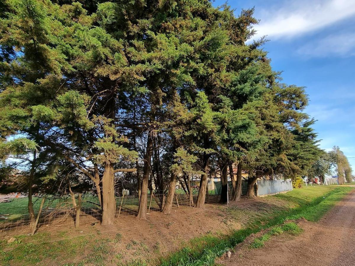 Terreno en Venta en Urdinarrain, Zona con Potencial. 5