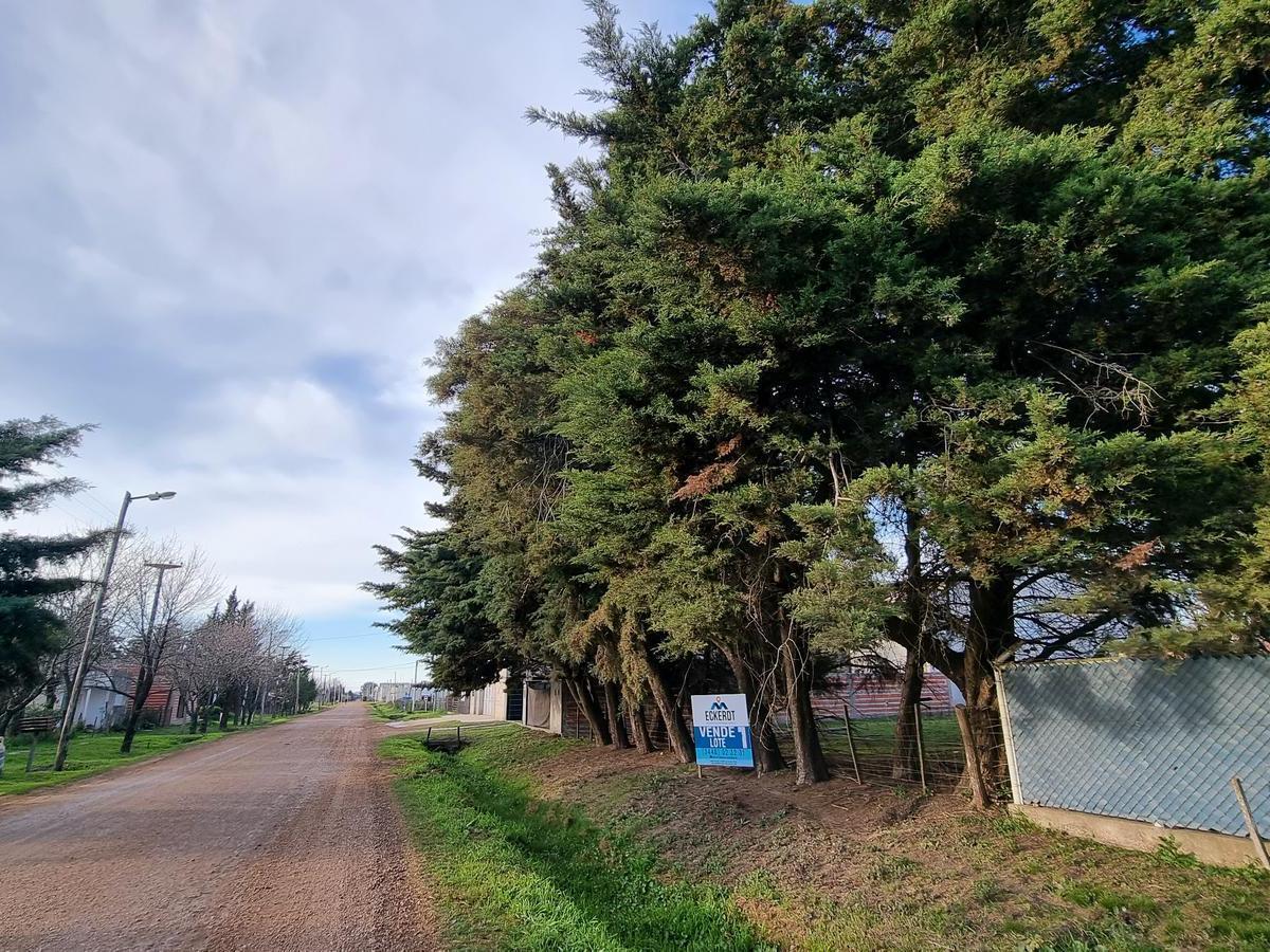 Terreno en Venta en Urdinarrain, Zona con Potencial. 1