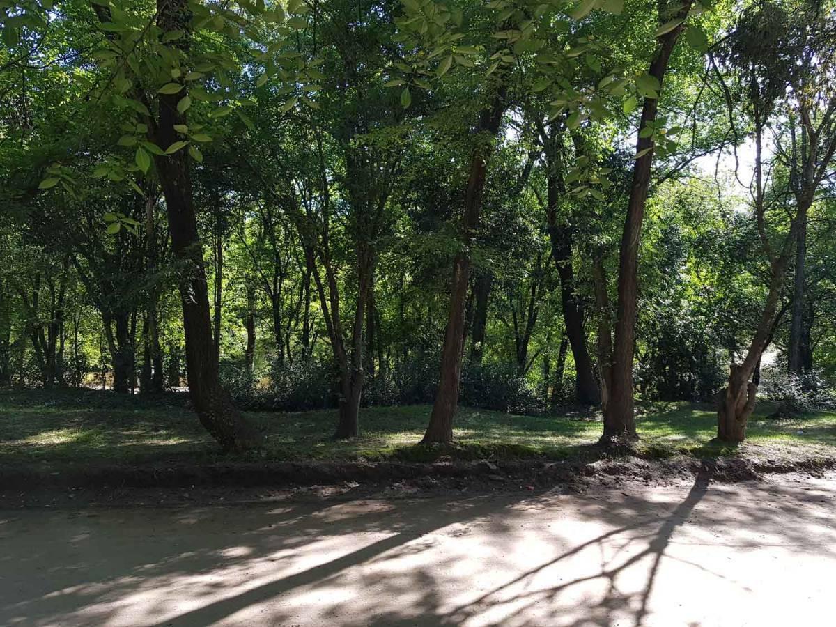 Terreno Exclusivo Frente Al Río en B° Villa Strada. Santa Rosa de Calamuchita. 4
