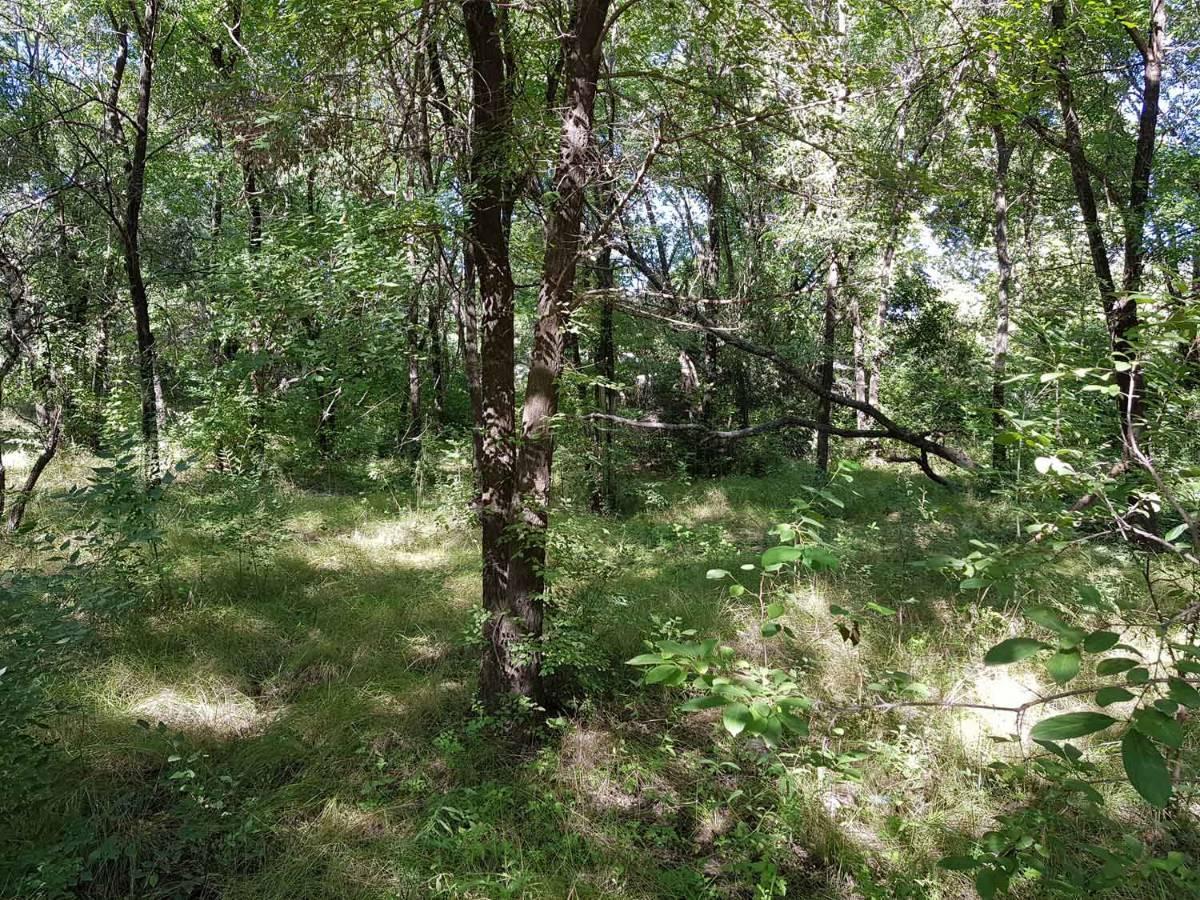 Terreno Exclusivo Frente Al Río en B° Villa Strada. Santa Rosa de Calamuchita. 3