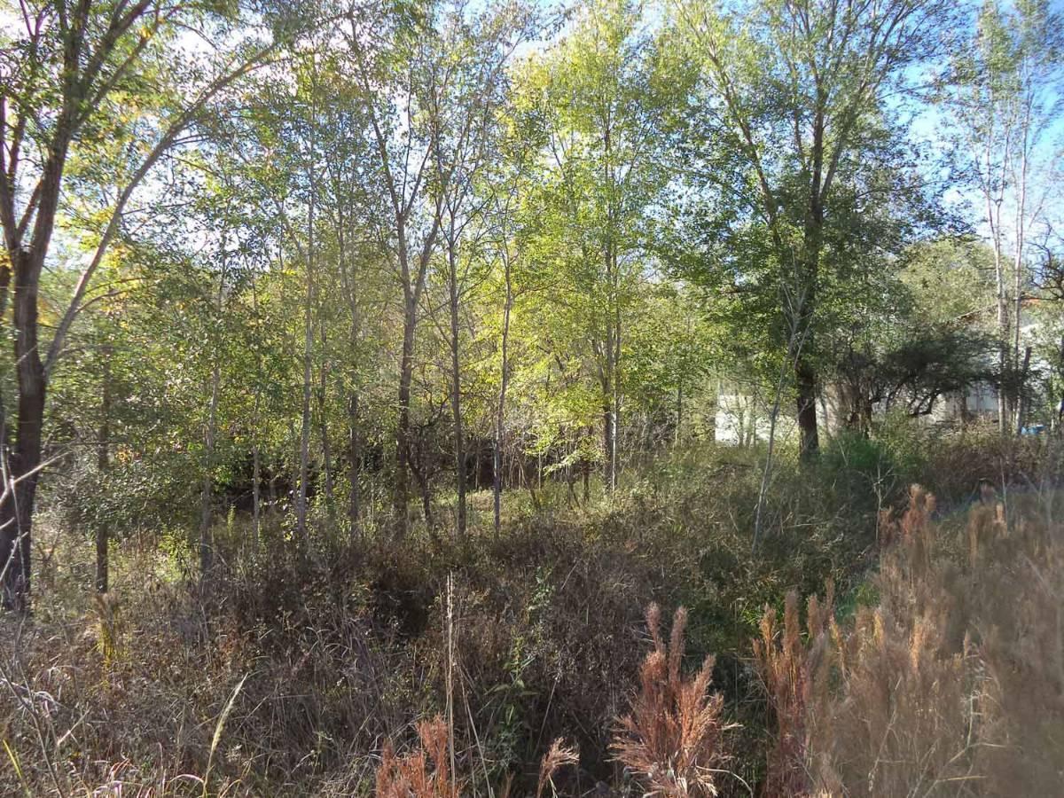 Venta. Lote con Bajada Al Río. Sobre Ruta Nº228. B° Santa Monica. Cod 2139 1