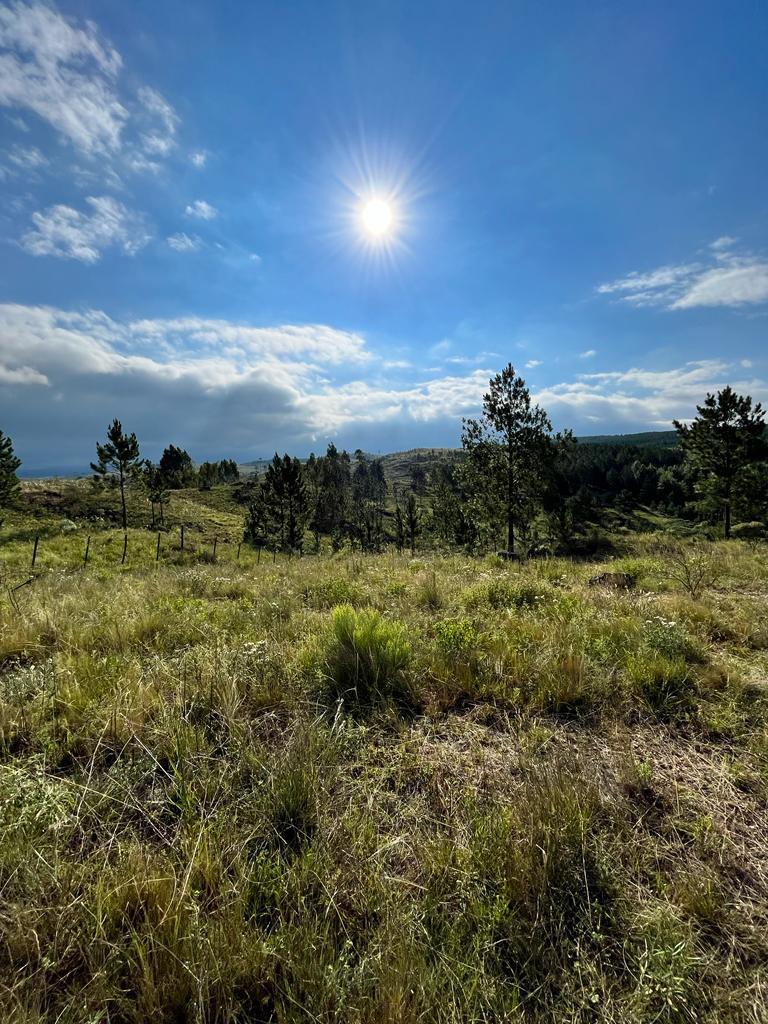 Campo. Venta. 4 Hectáreas. San Miguel de Los Ríos - con Costa de Río. Cód 5