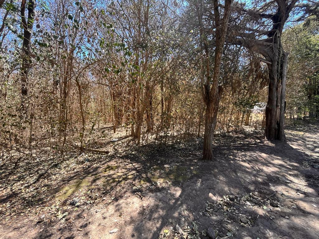 2111 - Lote Comercial Sobre Av de Ingreso en Villa Ciudad Parque Los Reartes. 4