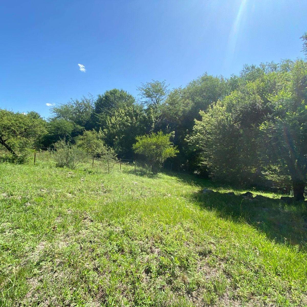 Lote – Venta 1000 m² - B° Santa Mónica – a m de La Ruta – Cód.2104 3