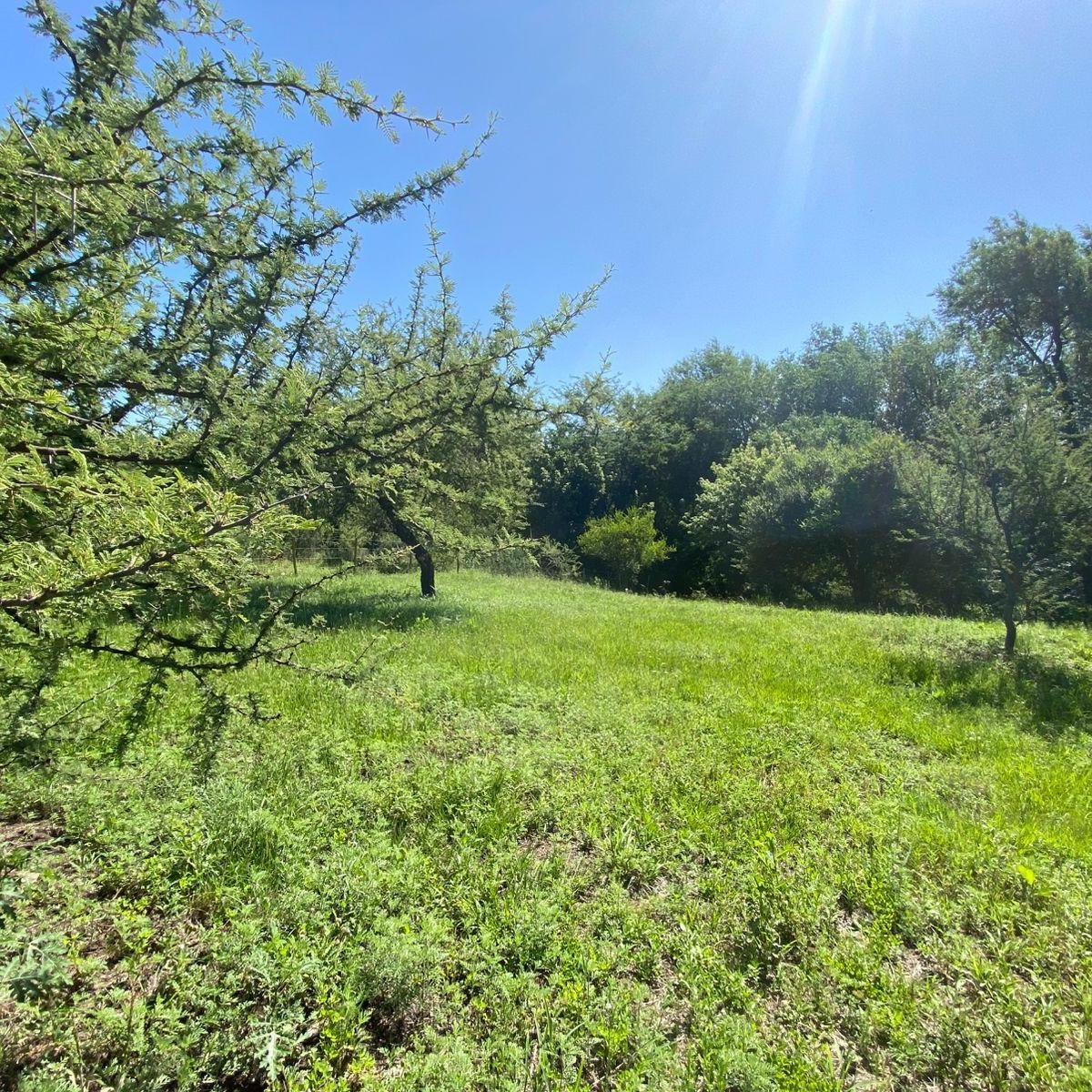 Lote – Venta 1000 m² - B° Santa Mónica – a m de La Ruta – Cód.2104 1