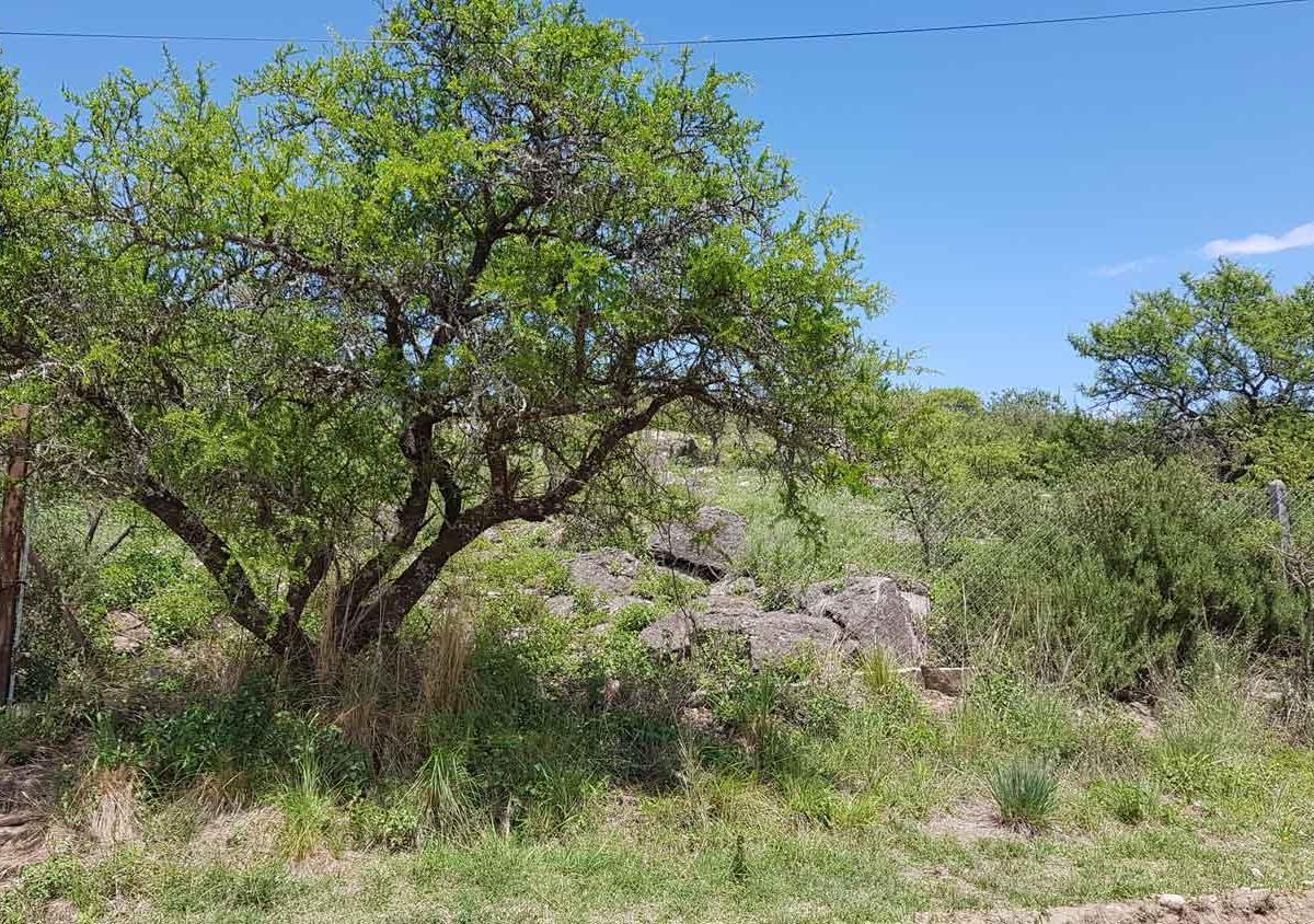 Terreno 4008 m² – Frente Al Río – B° Santa Mónica, Calamuchita. Cód 2