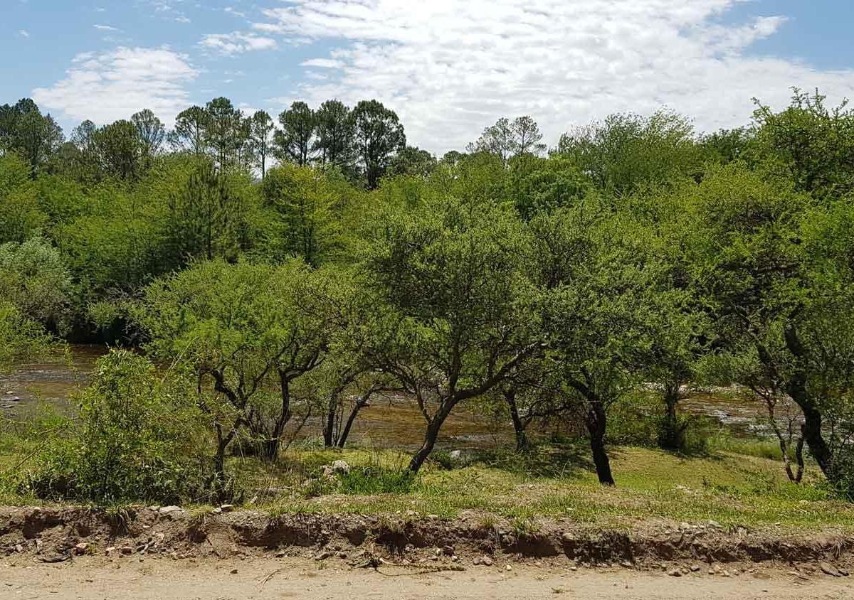 Terreno 4008 m² – Frente Al Río – B° Santa Mónica, Calamuchita. Cód 2