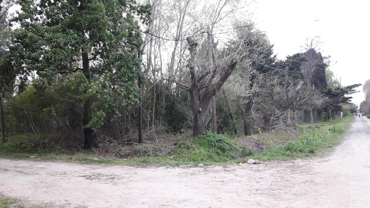 LOTE EN VENTA EN EL RODEO