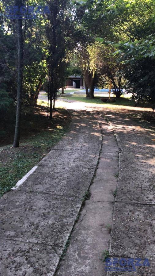Quinta - El Cortijo 3