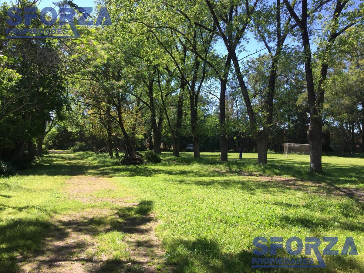 Foto de Terreno - Bella Vista, imagen 2