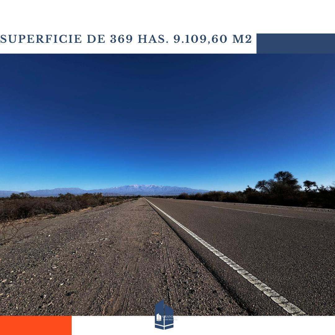 Campo en Venta en Chilecito - La Rioja 4