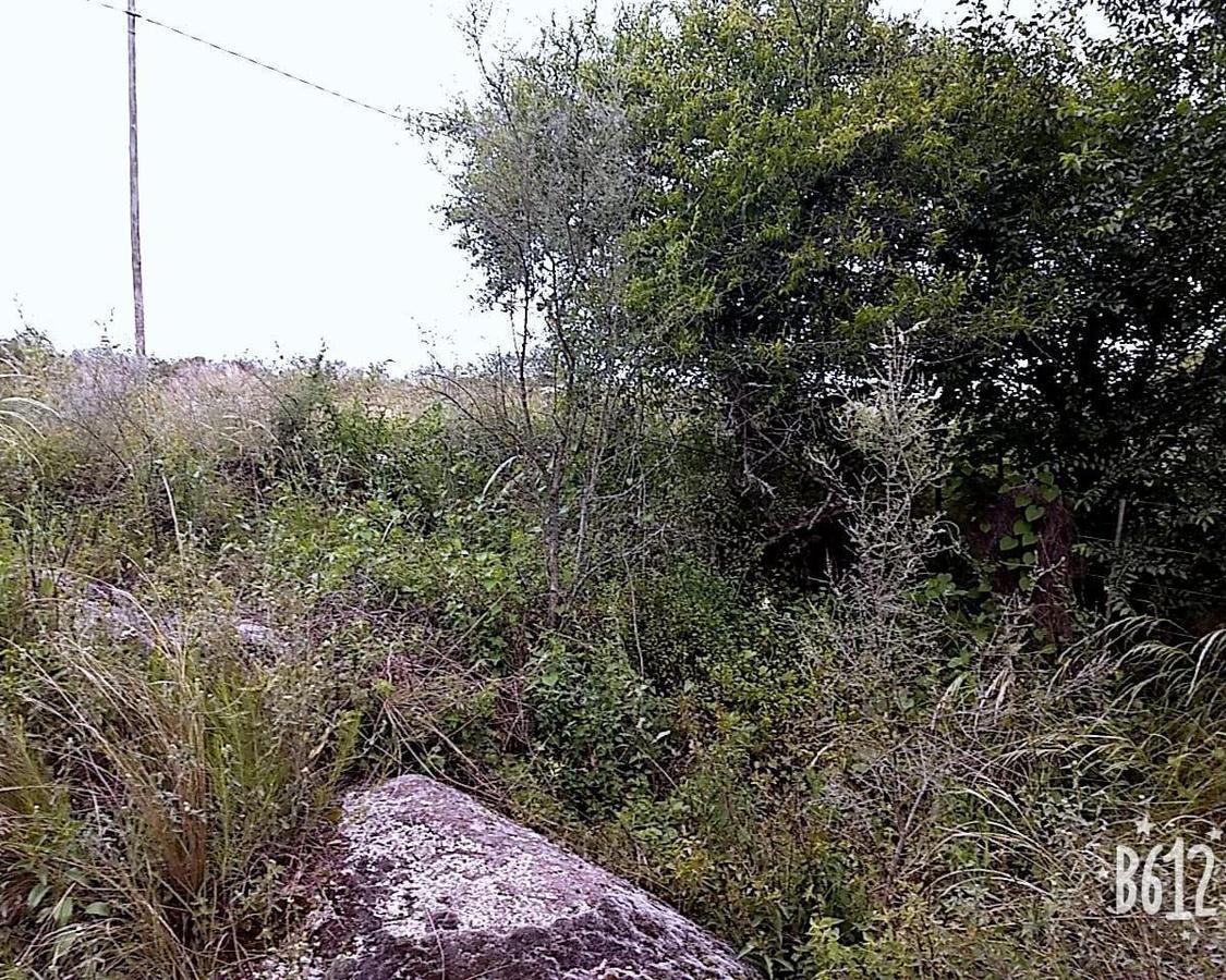 Venta de Terreno en Siquiman con Una Superficie de 2227 m² y a Menos de 2 Km de La Bajada Al Lago Sa 3