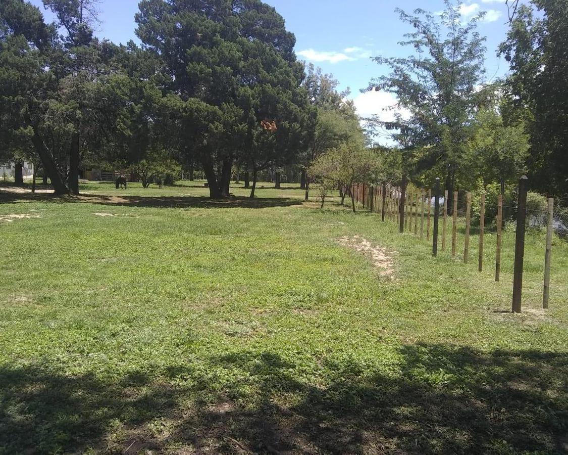 Venta en Bialet Masse Centro de Casa Quinta de 7 Habirtaciones Departamento en Amplio Parque Ubic 3