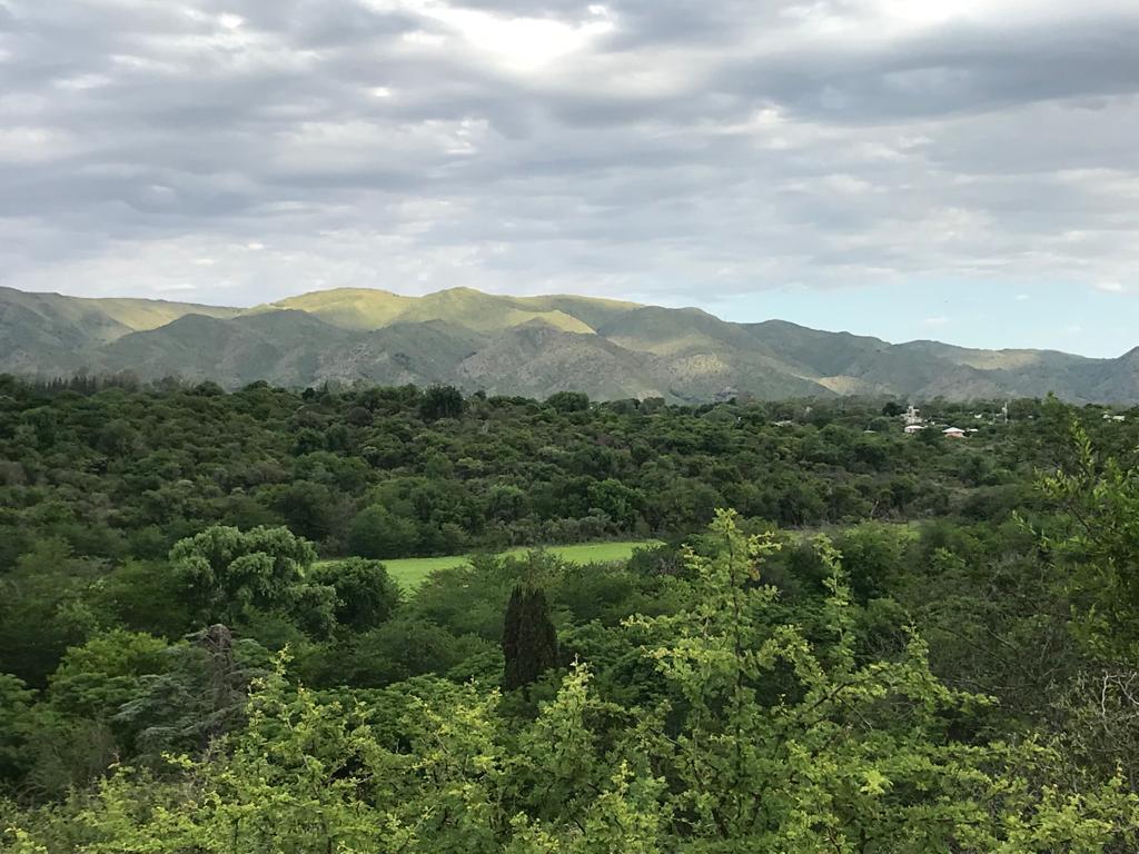 EN VENTA 2 LOTES EN COSQUIN A 500 MTS DE LA JUNTURA DE RIOS REF: 1807