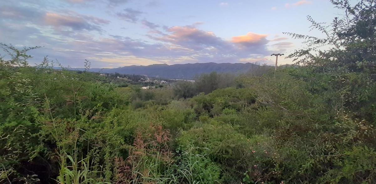 2 Ha y 1/2 (23.603 M²), Sobre Ruta 38 en Villa Parque Siquiman Ref 2051 3