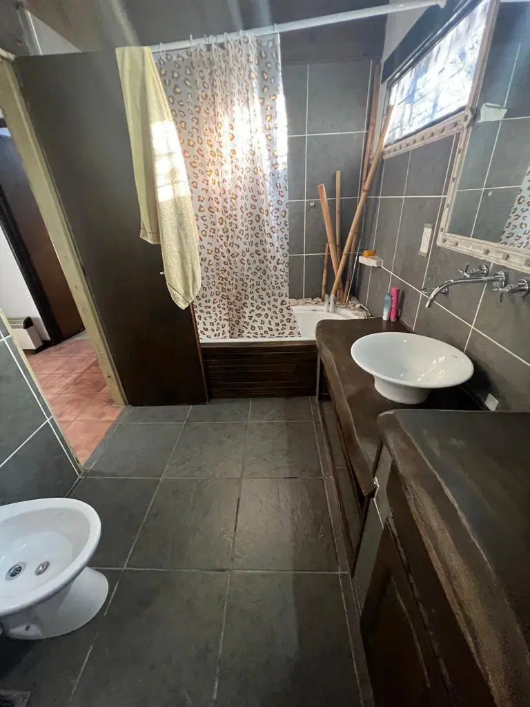 CASA PRINCIPAL CON DEPARTAMENTO Y QUINCHO 5