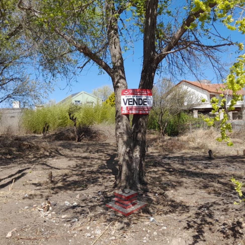 Foto de TERRENO EN VENTA EN BIALET MASSE CERCA RUTA E 55, imagen 4