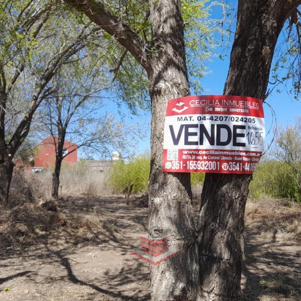 Foto de TERRENO EN VENTA EN BIALET MASSE CERCA RUTA E 55, imagen 5
