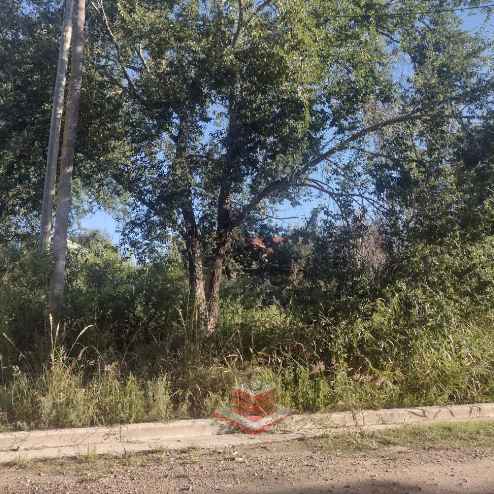 Foto de TERRENO EN VENTA EN BIALET MASSE CERCA RUTA E 55, imagen 1
