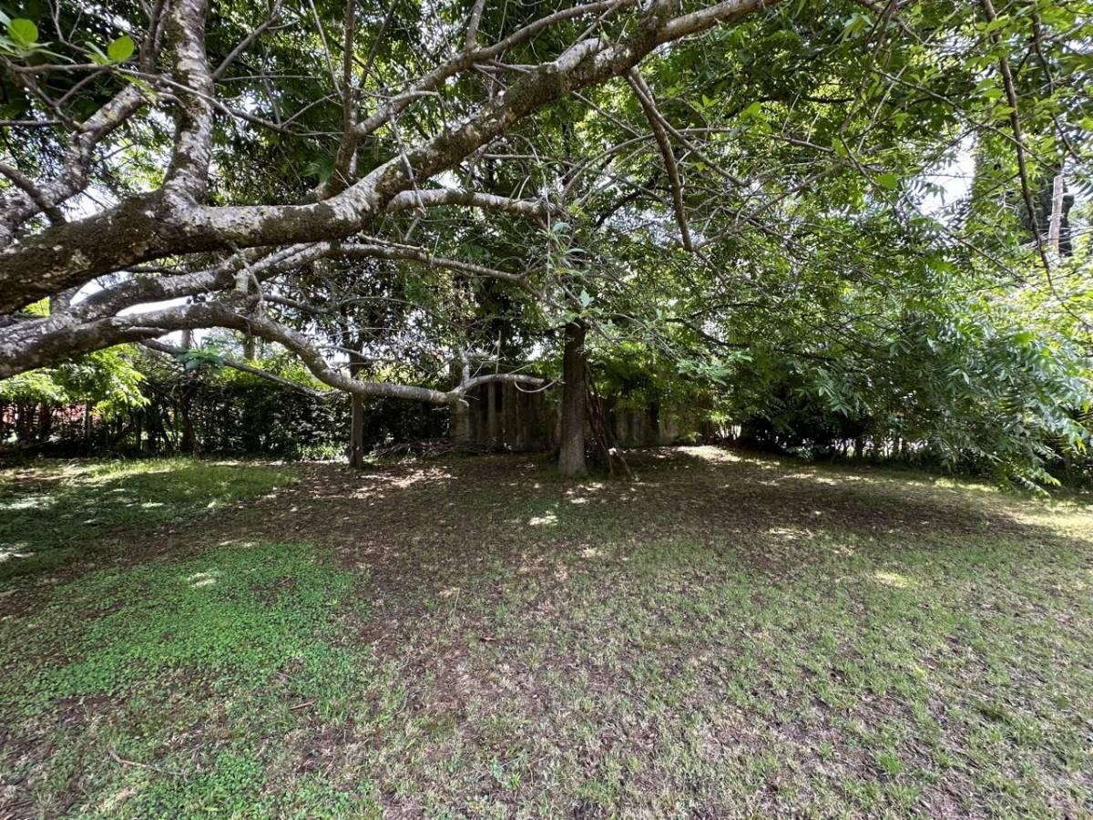 Lote en Venta 1