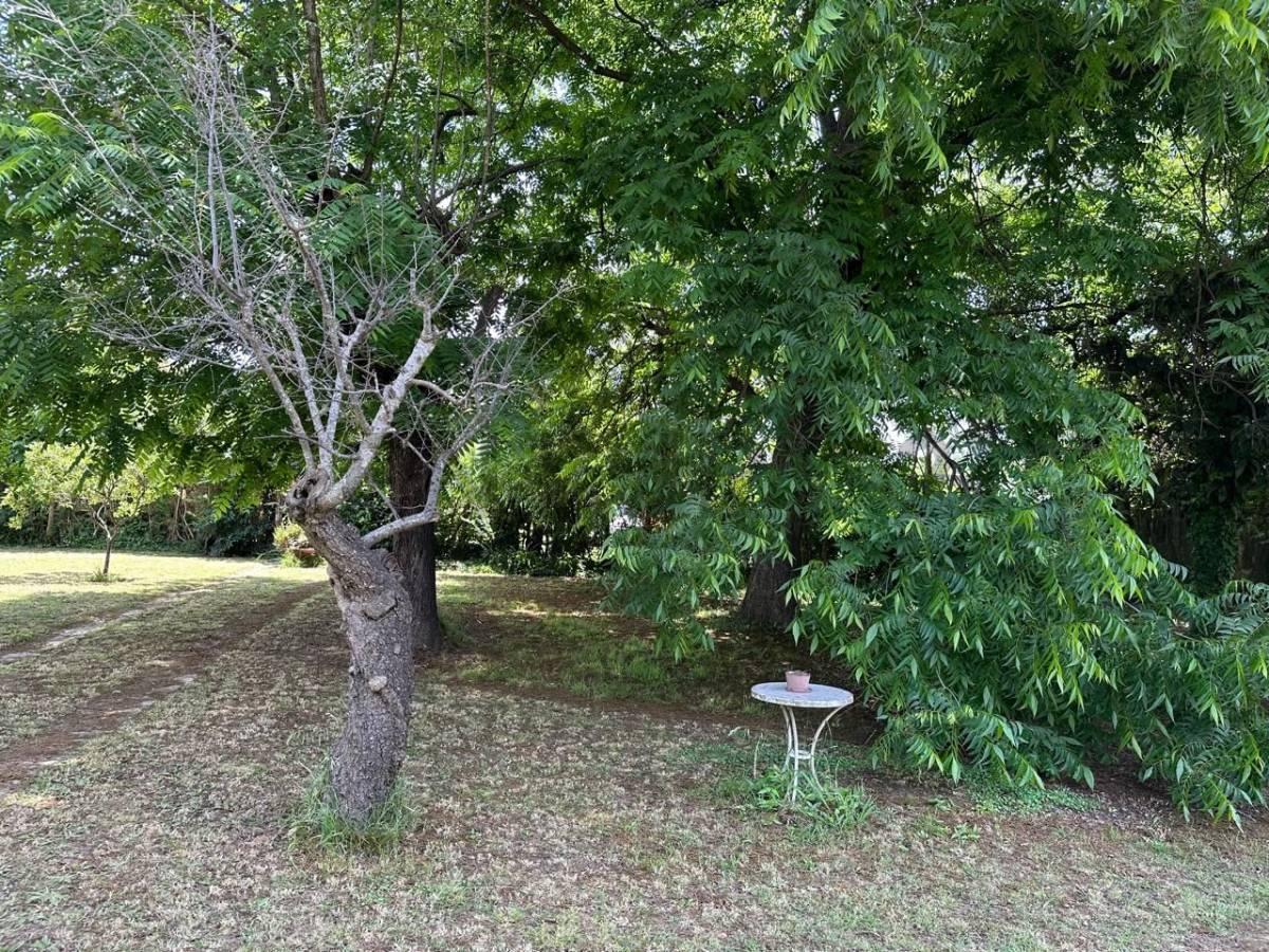 Lote en Venta 5