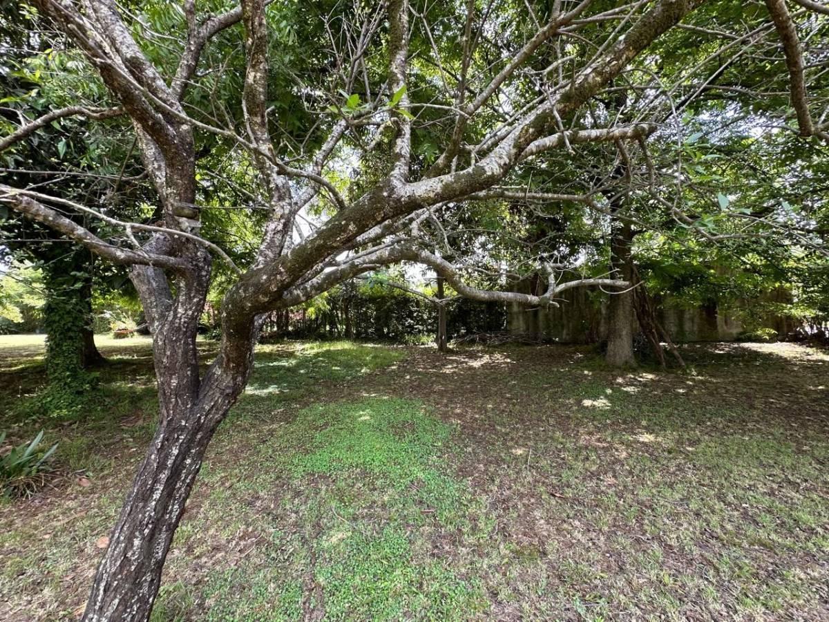 Lote en Venta 3