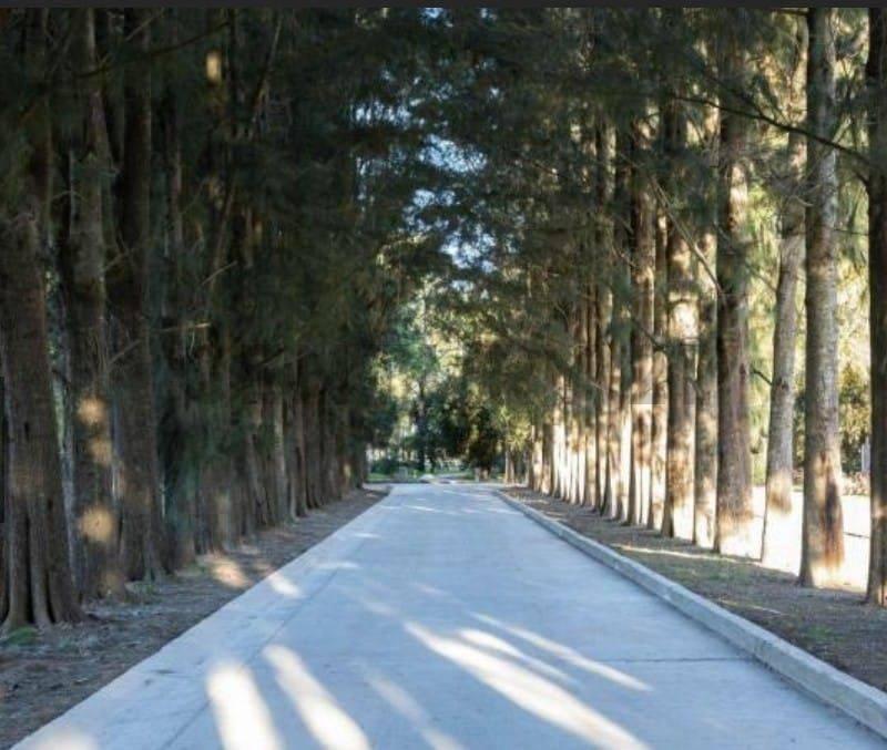 VENTA LOTE 600 M2 EZEIZA OPORTUNIDAD CON FINANCIACION !!!