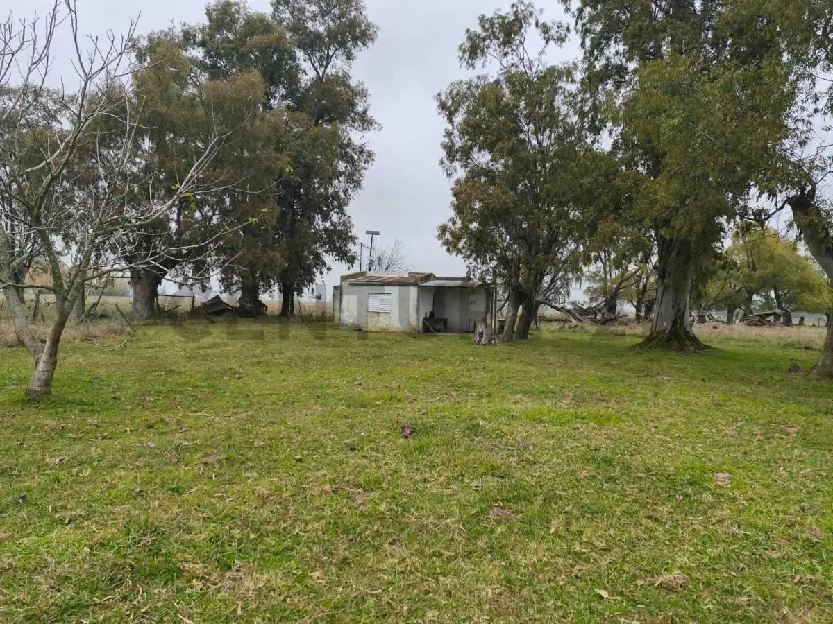 VENTA CAMPO ABBOTT SAN MIGUEL DEL MONTE 2