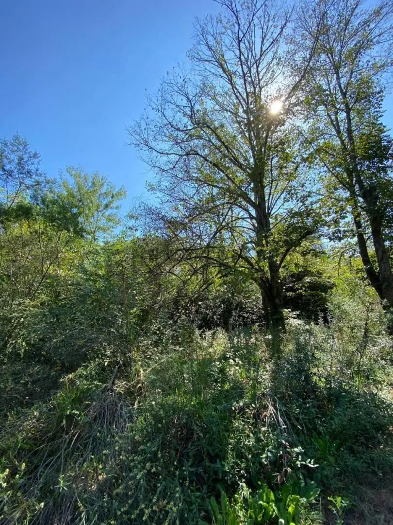 CAMPO EN RUTA 28 3
