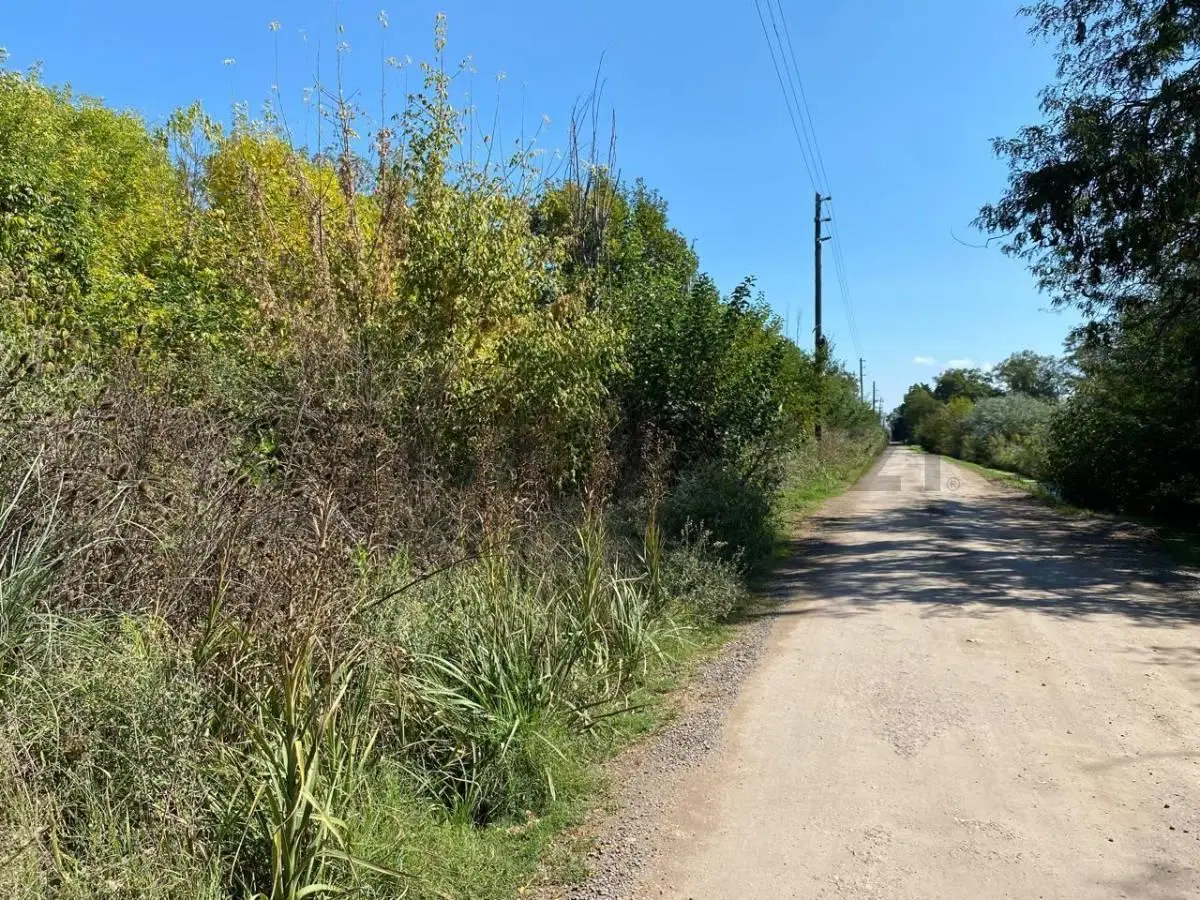 CAMPO EN RUTA 28 4