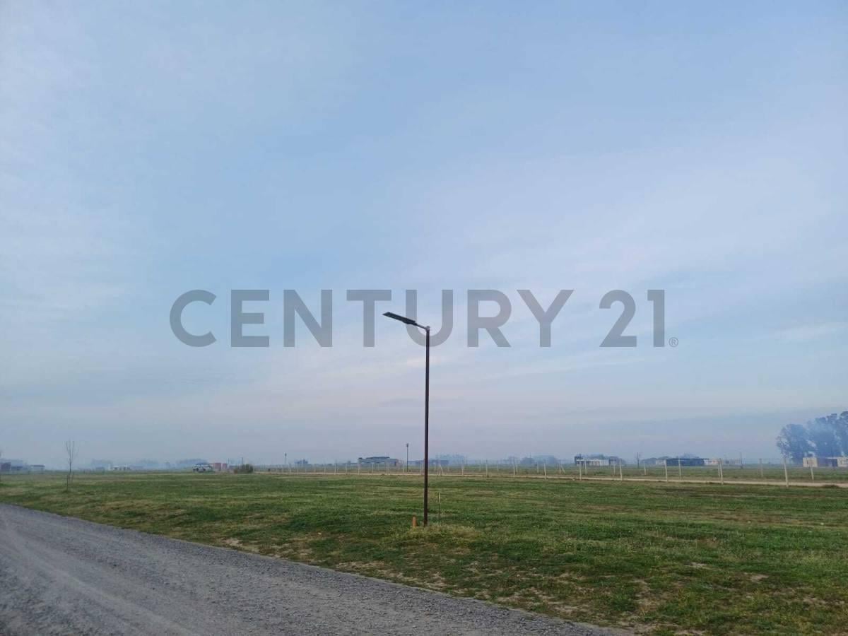 Foto de Venta de Amplio lote 1000 m2 en Barrio Polo Tres Pinos Villa de Campo, imagen 5
