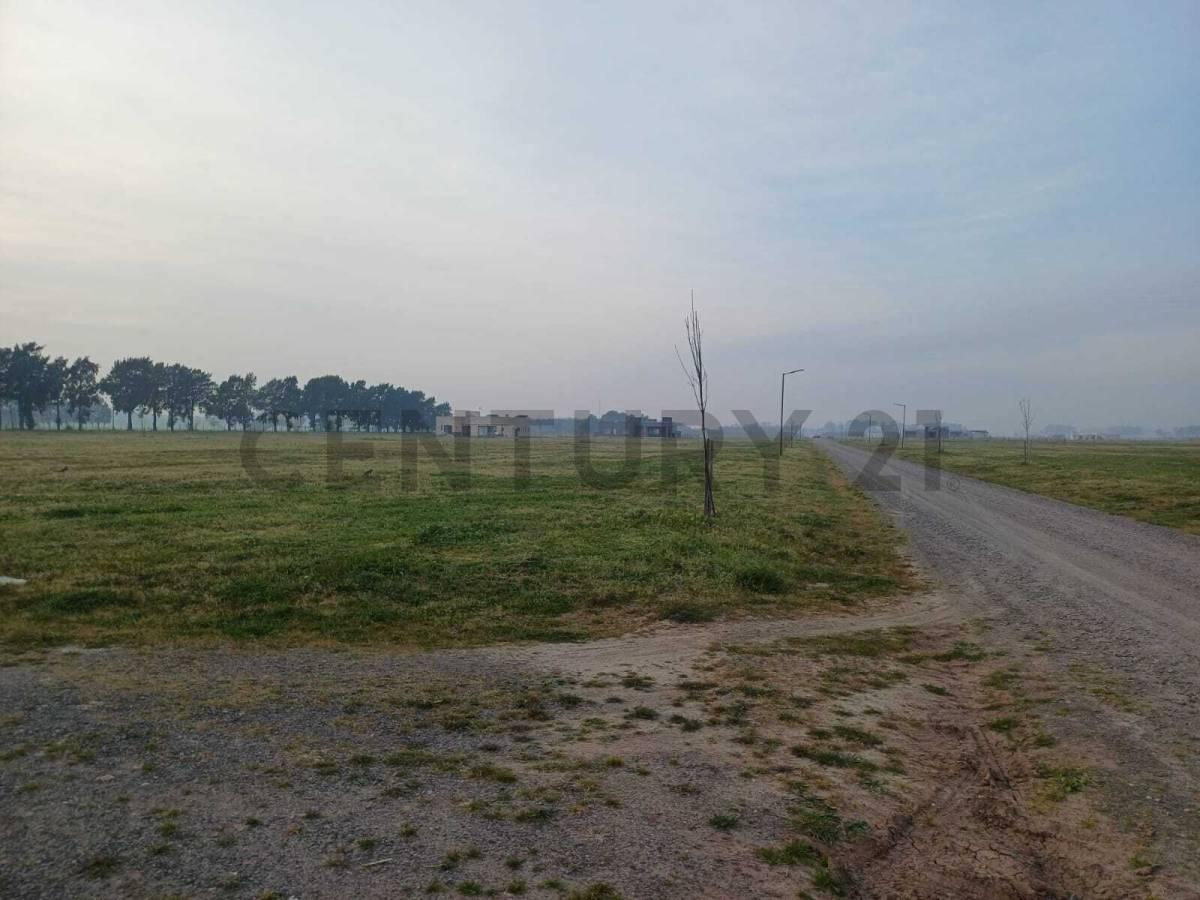 Foto de Venta de Amplio lote 1000 m2 en Barrio Polo Tres Pinos Villa de Campo, imagen 1