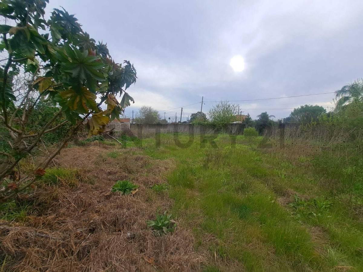 Foto de LOTE EN VENTA EN PARQUE SAN MARTIN-MERLO-504M2-CON SERVICIOS Y, imagen 4
