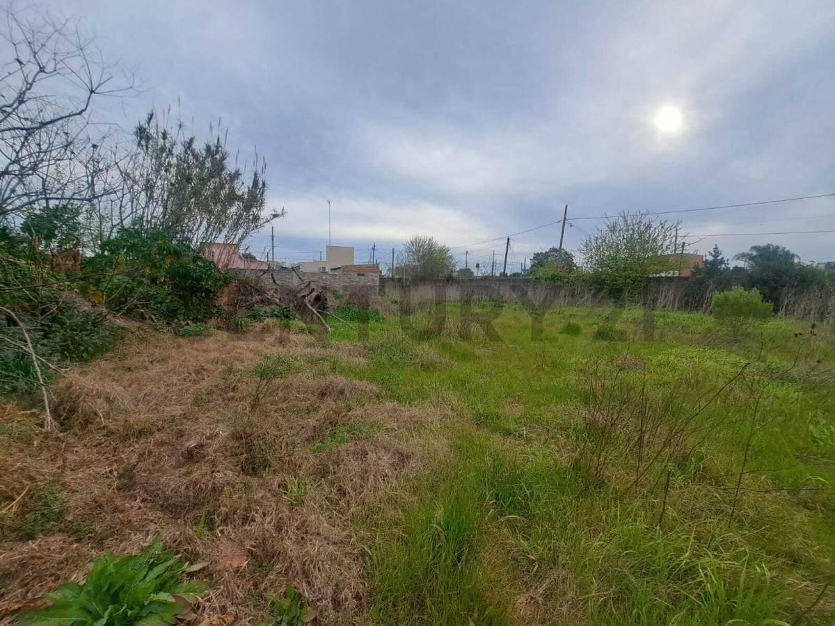 Foto de LOTE EN VENTA EN PARQUE SAN MARTIN-MERLO-504M2-CON SERVICIOS Y, imagen 5