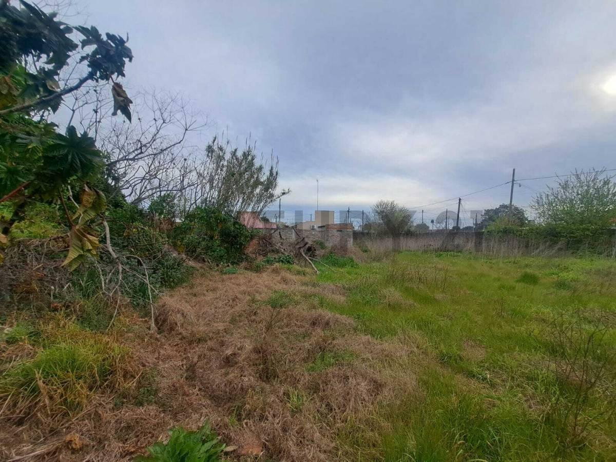 Foto de LOTE EN VENTA EN PARQUE SAN MARTIN-MERLO-504M2-CON SERVICIOS Y, imagen 3