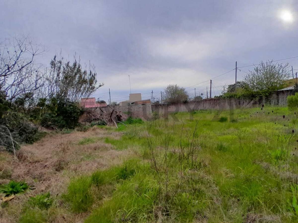 Foto de LOTE EN VENTA 300M2 CON DEPARTAMENTOS EN CONSTRUCCION Y FACILIDADES DE, imagen 2