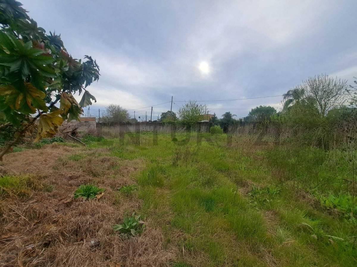 Foto de VENTA DE LOTES - PARQUE SAN MARTIN, MERLO, imagen 4