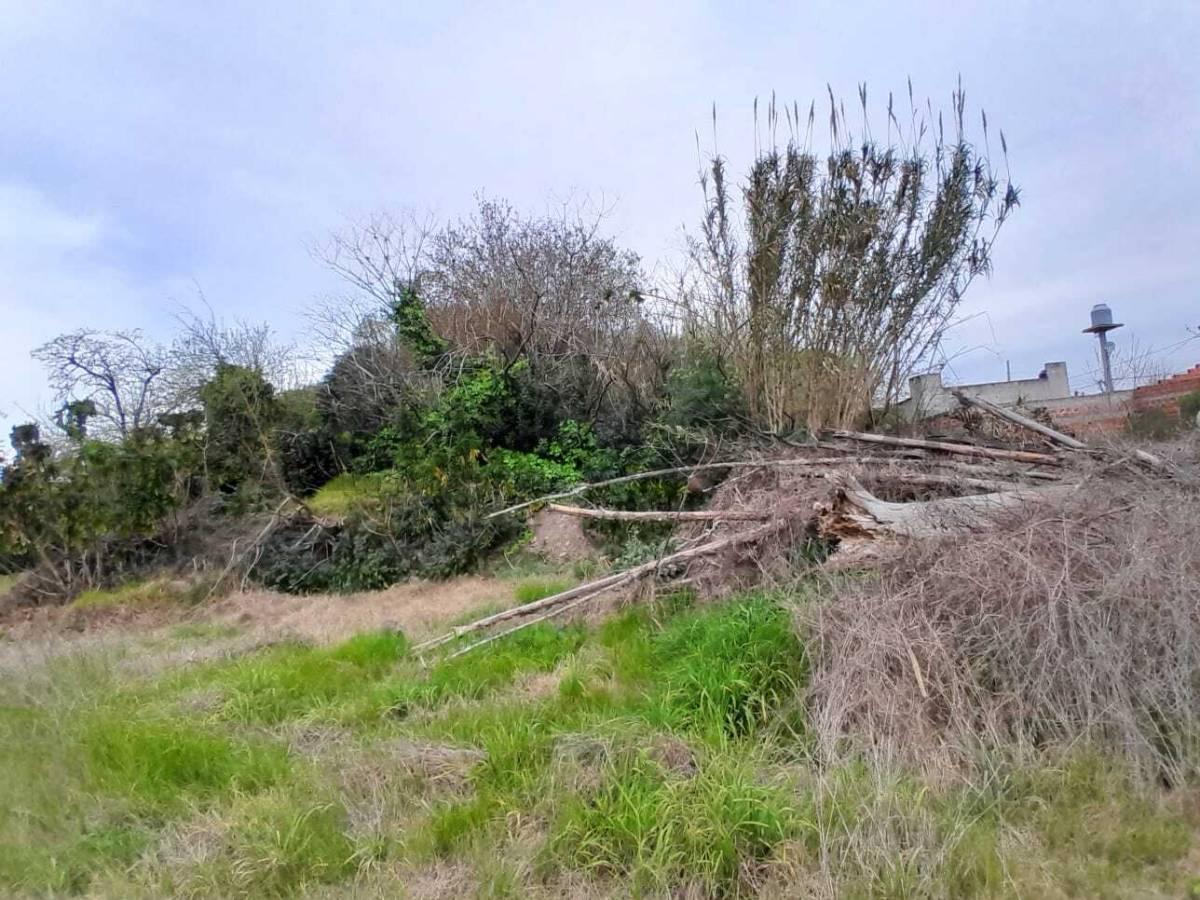 Foto de VENTA DE LOTES - PARQUE SAN MARTIN, MERLO, imagen 2