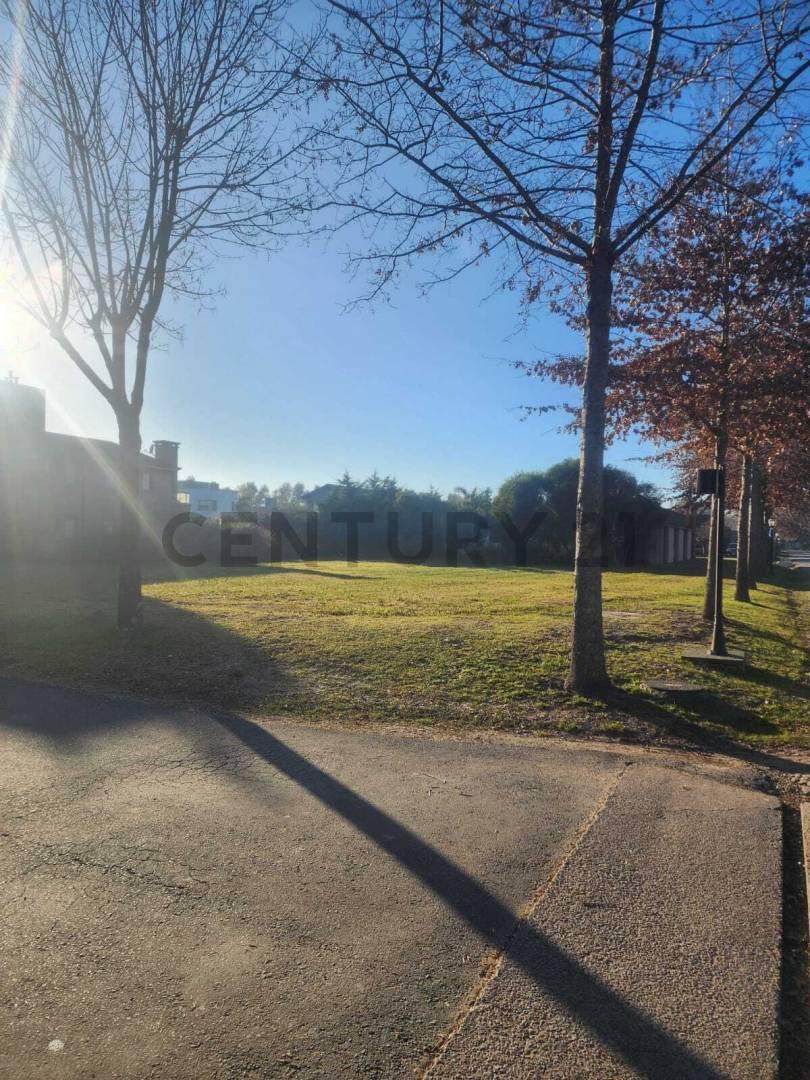 Foto de LOTE EN VENTA –BARRIO CERRADO LA CESARINA (General Rodríguez) – 900 m², imagen 4