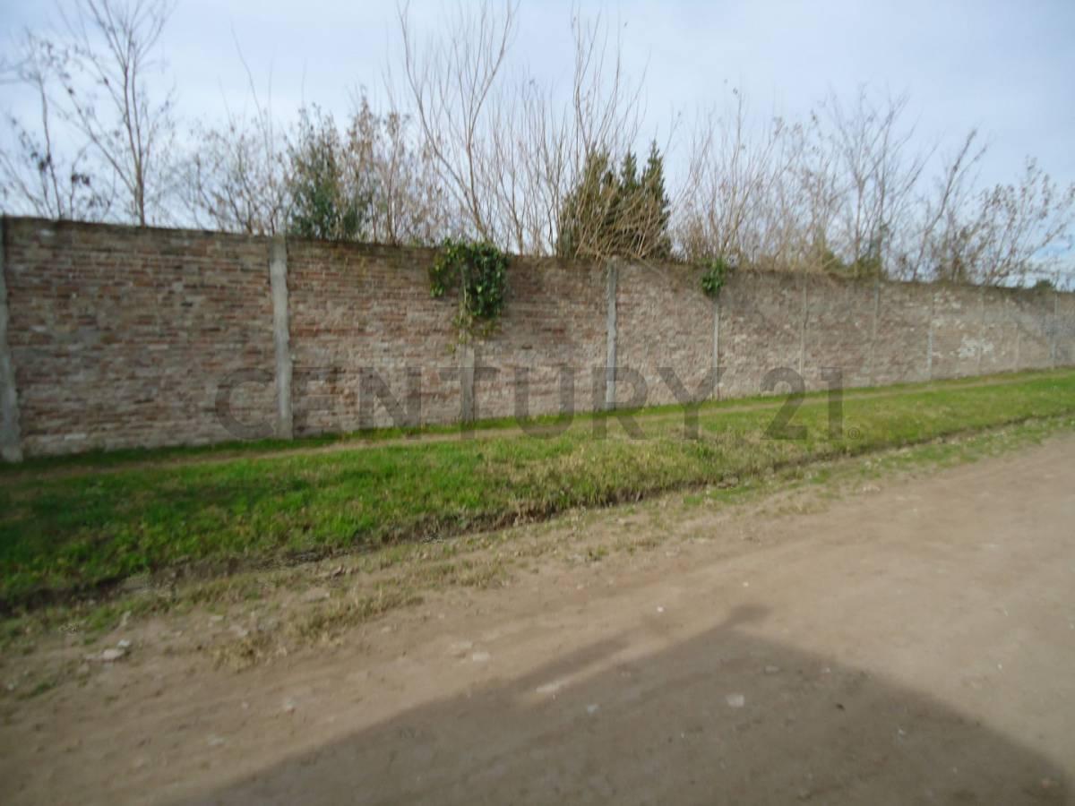 Foto de LOTE EN VENTA EN PARQUE SAN MARTIN MERLO-OPORTUNIDAD!!!, imagen 2