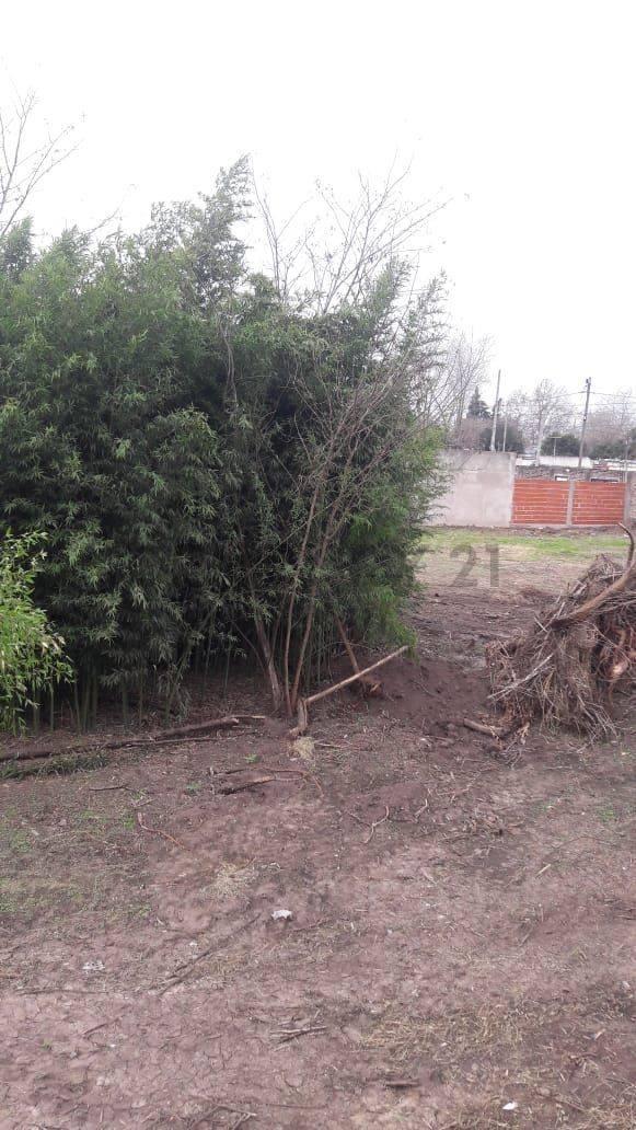 Foto de LOTE EN VENTA EN PARQUE SAN MARTIN MERLO-OPORTUNIDAD!!!, imagen 5