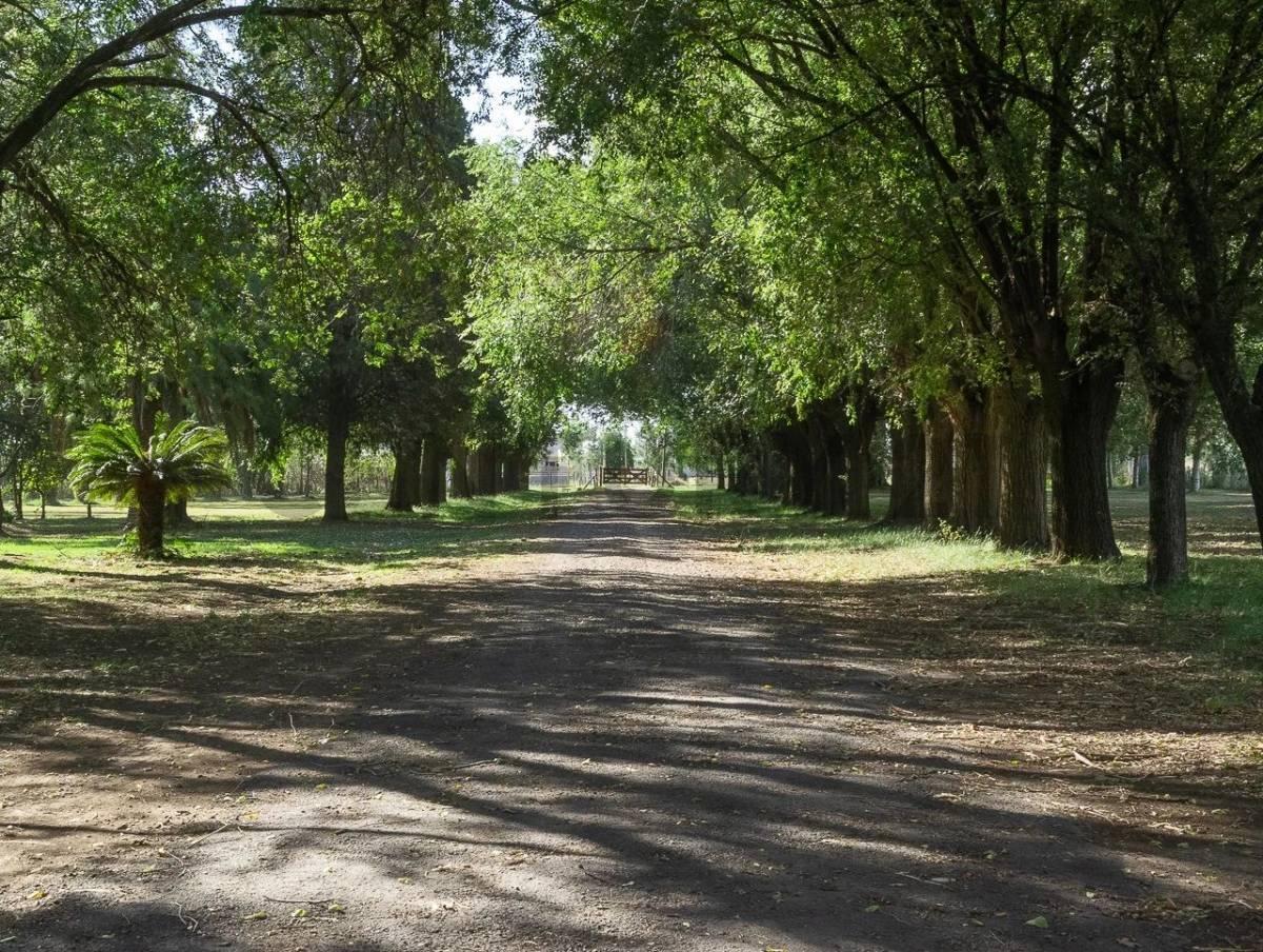 Foto de LOTES EN VENTA BARRIO LA EUGENIO BY MORADAS, imagen 2