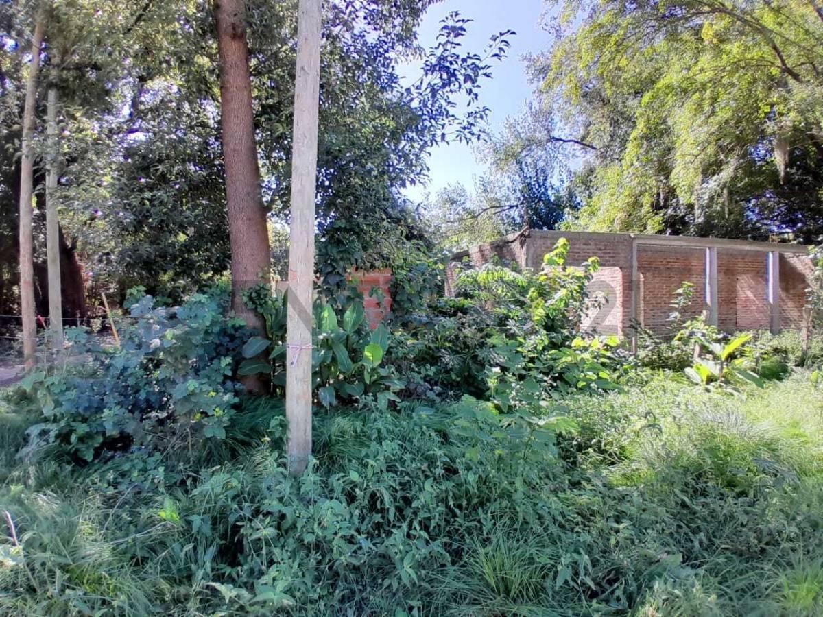 Foto de VENTA DE 2 TERRENOS CON CONSTRUCCION EN GRAL. RODRIGUEZ - Estrada y, imagen 5