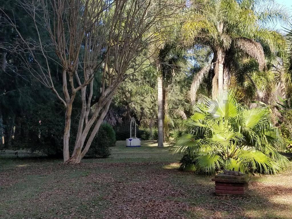 Foto de ISLA DELTA 1RA SECCION TIGRE, imagen 3