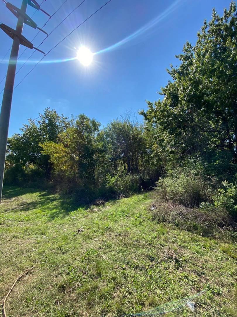 Foto de CAMPO EN RUTA 28, imagen 3