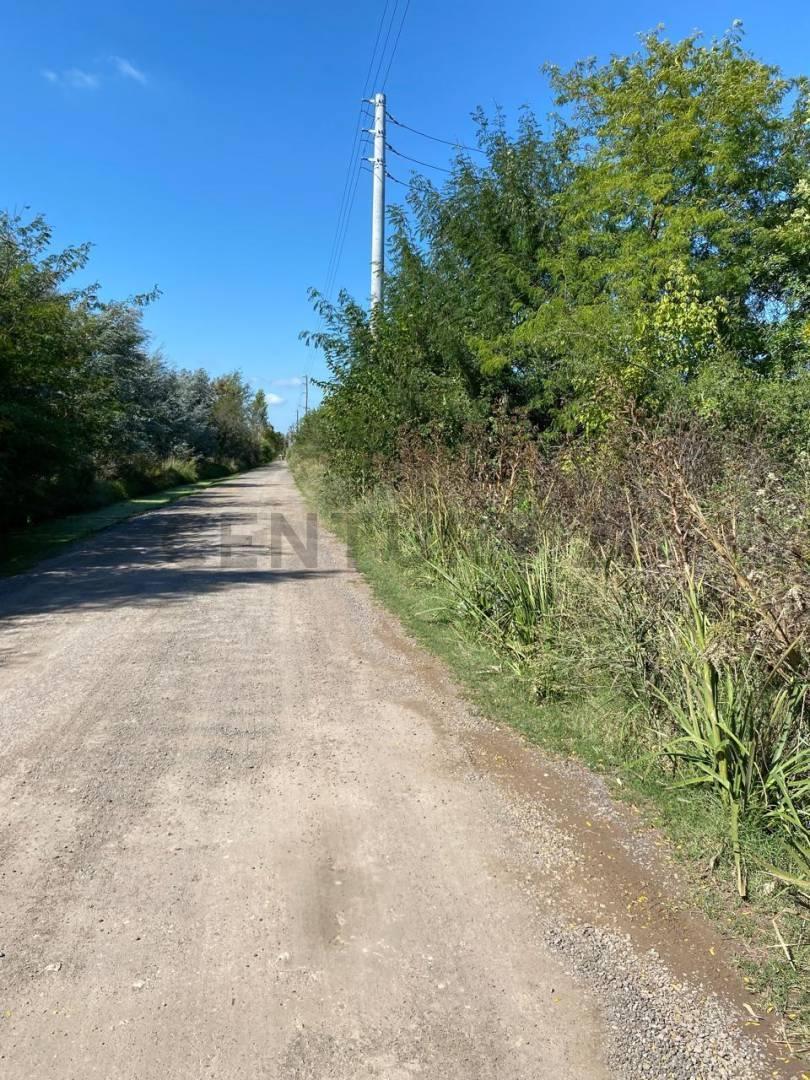 Foto de CAMPO EN RUTA 28, imagen 4