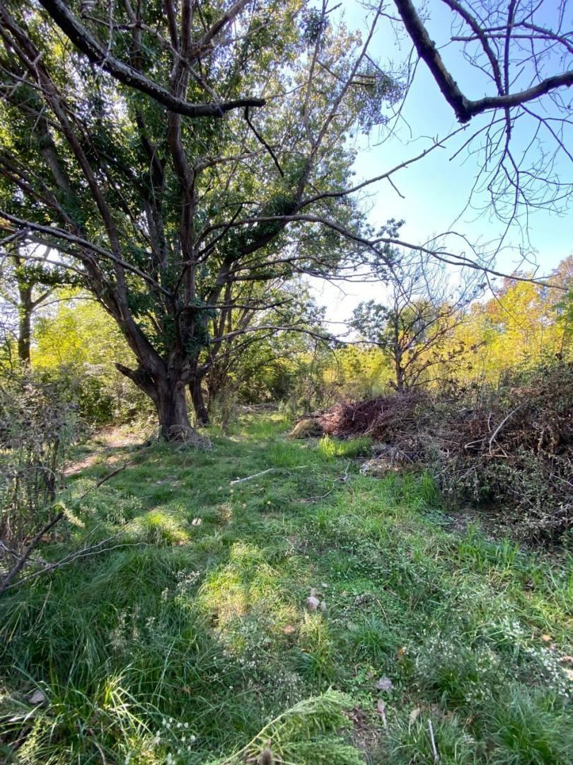 Foto de CAMPO EN RUTA 28, imagen 5