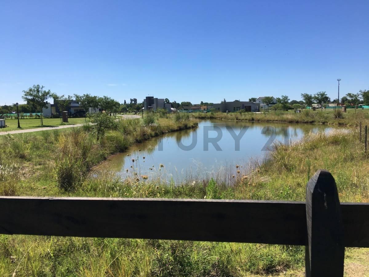 Foto de LOTE EN SAN RAMON PILAR DEL ESTE, imagen 3
