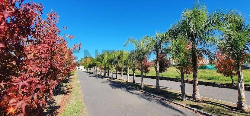 Foto de LOTE EN CHATEU PILAR, imagen 4