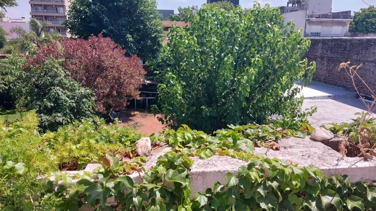 Foto de Venta de Lote doble frente en San Martín Centro, imagen 3